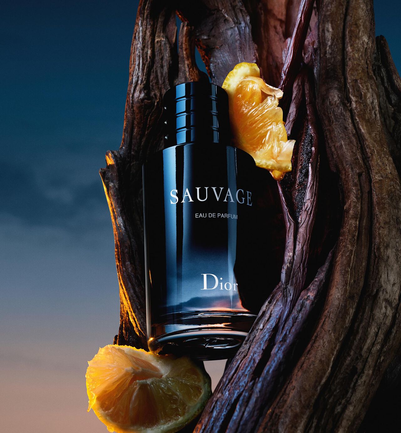 Dior Sauvage Eau de Parfum